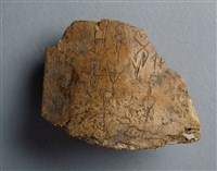 藏品(甲骨殘片)的圖片