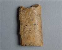 藏品(甲骨殘片)的圖片