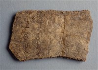 藏品(甲骨殘片)的圖片