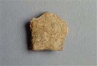 藏品(甲骨殘片)的圖片