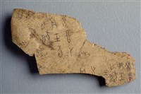 藏品(甲骨殘片)的圖片