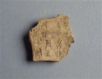藏品(甲骨殘片)的圖片