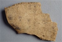 藏品(甲骨殘片)的圖片