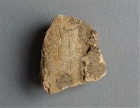 藏品(甲骨殘片)的圖片