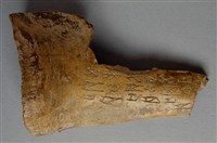 藏品(甲骨殘片)的圖片