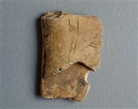 藏品(甲骨殘片)的圖片