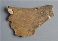 藏品(甲骨殘片)的圖片