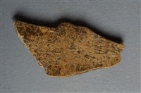 藏品(甲骨殘片)的圖片