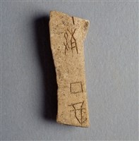藏品(甲骨殘片)的圖片