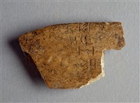 藏品(甲骨殘片)的圖片