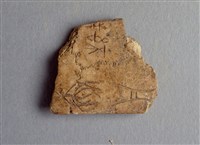 藏品(甲骨殘片)的圖片