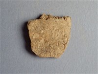 藏品(甲骨殘片)的圖片