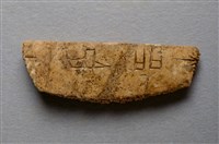 藏品(甲骨殘片)的圖片