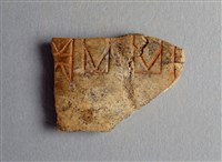 藏品(甲骨殘片)的圖片