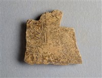 藏品(甲骨殘片)的圖片