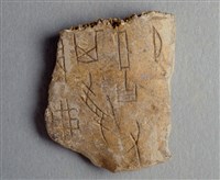 藏品(甲骨殘片)的圖片