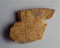 藏品(甲骨殘片)的圖片