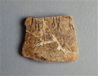 藏品(甲骨殘片)的圖片