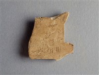 藏品(甲骨殘片)的圖片