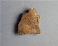 藏品(甲骨殘片)的圖片