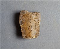 藏品(甲骨殘片)的圖片