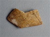 藏品(甲骨殘片)的圖片