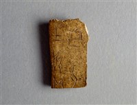 藏品(甲骨殘片)的圖片