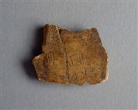 藏品(甲骨殘片)的圖片