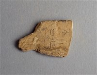 藏品(甲骨殘片)的圖片
