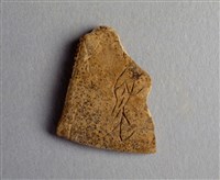 藏品(甲骨殘片)的圖片