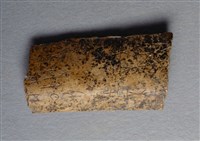 藏品(甲骨殘片)的圖片