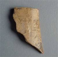 藏品(甲骨殘片)的圖片