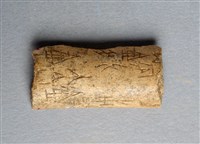 藏品(甲骨殘片)的圖片