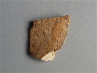 藏品(甲骨殘片)的圖片