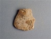 藏品(甲骨殘片)的圖片