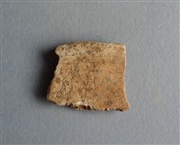 藏品(甲骨殘片)的圖片