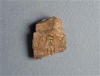 藏品(甲骨殘片)的圖片