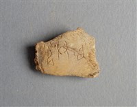 藏品(甲骨殘片)的圖片