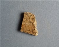 藏品(甲骨殘片)的圖片