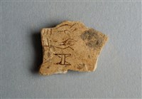 藏品(甲骨殘片)的圖片