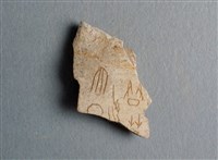 藏品(甲骨殘片)的圖片