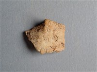 藏品(甲骨殘片)的圖片