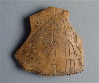 藏品(甲骨殘片)的圖片
