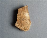 藏品(甲骨殘片)的圖片