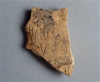 藏品(甲骨殘片)的圖片