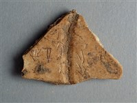 藏品(甲骨殘片)的圖片