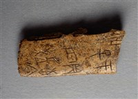 藏品(甲骨殘片)的圖片