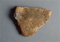 藏品(甲骨殘片)的圖片