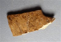 藏品(甲骨殘片)的圖片