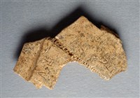 藏品(甲骨殘片)的圖片